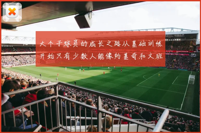 大个子球员的成长之路从基础训练开始只有少数人能像约基奇和文班那样成功
